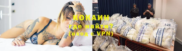 гашик Покачи
